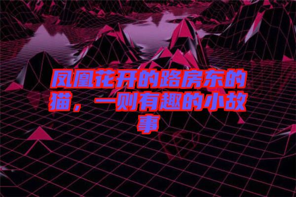 鳳凰花開的路房東的貓，一則有趣的小故事