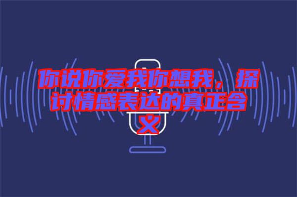 你說(shuō)你愛(ài)我你想我，探討情感表達(dá)的真正含義