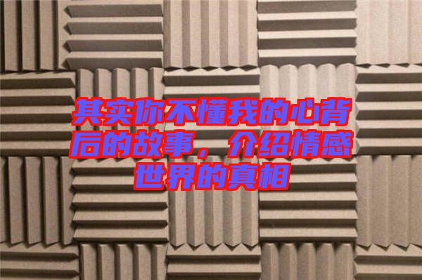 其實(shí)你不懂我的心背后的故事，介紹情感世界的真相
