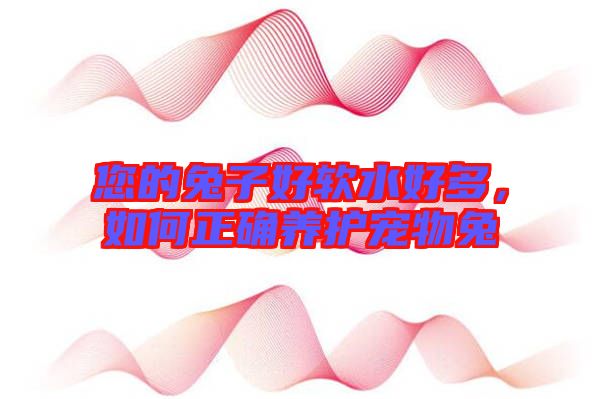 您的兔子好軟水好多，如何正確養(yǎng)護寵物兔