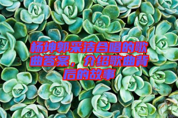 楊坤郭采潔合唱的歌曲答案，介紹歌曲背后的故事
