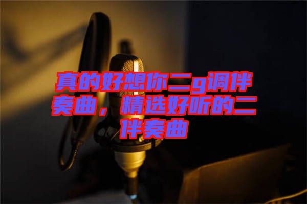 真的好想你二g調(diào)伴奏曲，精選好聽(tīng)的二伴奏曲