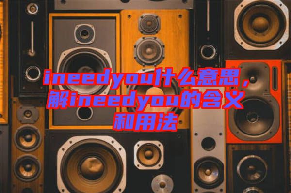 ineedyou什么意思，解ineedyou的含義和用法