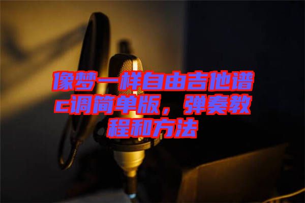 像夢一樣自由吉他譜c調(diào)簡單版，彈奏教程和方法