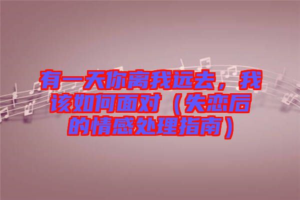 有一天你離我遠去，我該如何面對（失戀后的情感處理指南）
