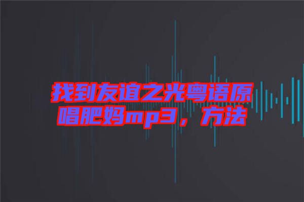 找到友誼之光粵語原唱肥媽mp3，方法