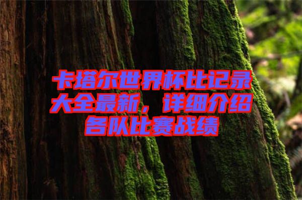 卡塔爾世界杯比記錄大全最新，詳細(xì)介紹各隊(duì)比賽戰(zhàn)績(jī)