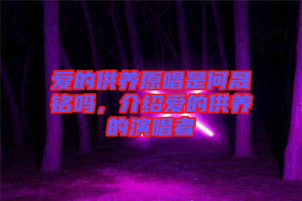 愛的供養(yǎng)原唱是何晟銘嗎，介紹愛的供養(yǎng)的演唱者