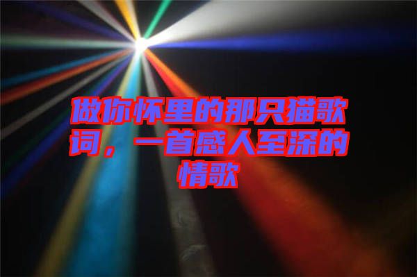 做你懷里的那只貓歌詞，一首感人至深的情歌