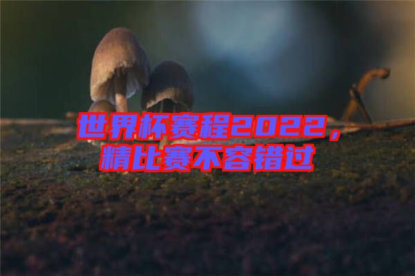 世界杯賽程2022，精比賽不容錯過