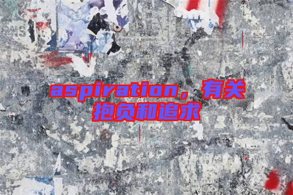 aspiration，有關(guān)抱負和追求