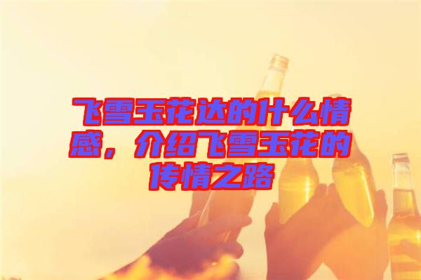 飛雪玉花達(dá)的什么情感，介紹飛雪玉花的傳情之路