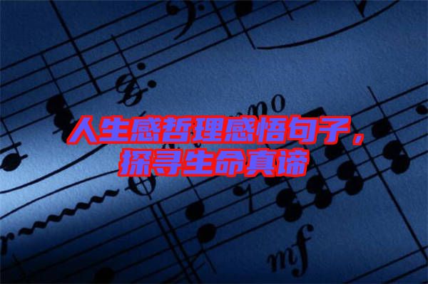 人生感哲理感悟句子，探尋生命真諦