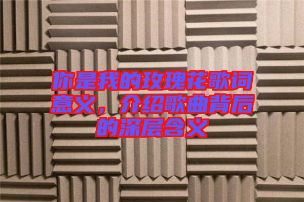 你是我的玫瑰花歌詞意義，介紹歌曲背后的深層含義
