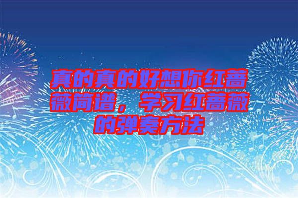 真的真的好想你紅薔薇簡譜，學(xué)習(xí)紅薔薇的彈奏方法