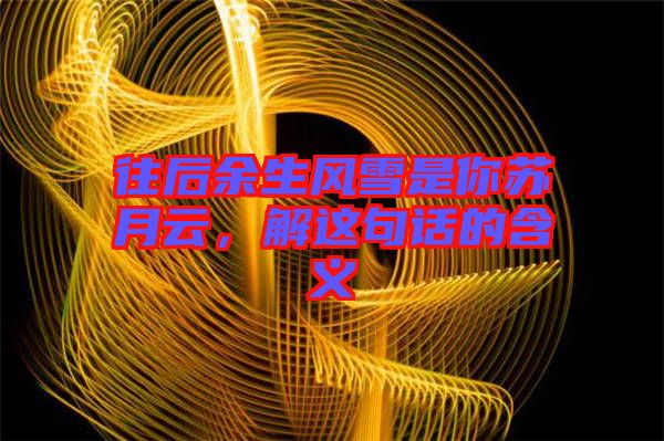 往后余生風雪是你蘇月云，解這句話的含義
