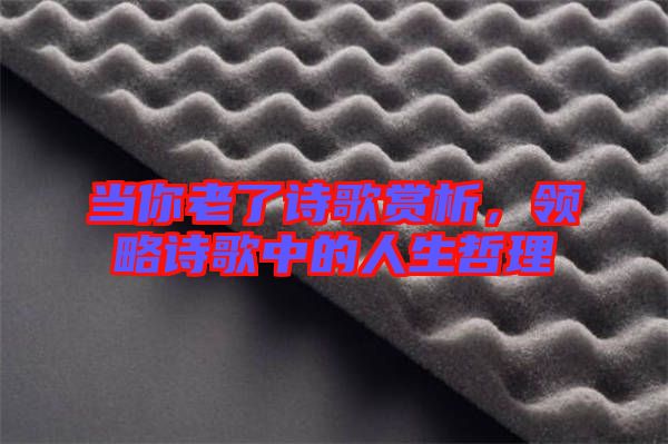 當(dāng)你老了詩歌賞析，領(lǐng)略詩歌中的人生哲理