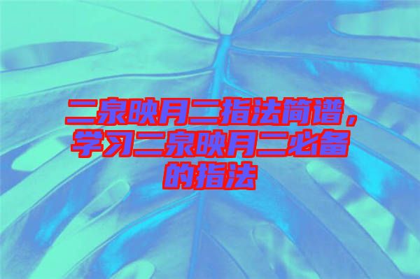 二泉映月二指法簡譜，學習二泉映月二必備的指法