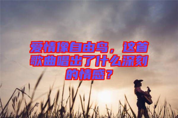 愛情像自由鳥，這首歌曲唱出了什么深刻的情感？