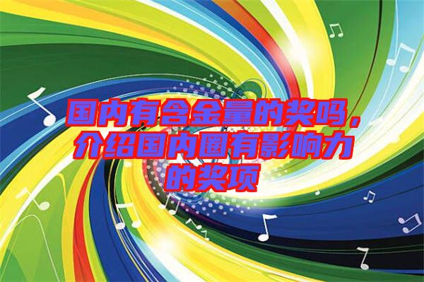 國內(nèi)有含金量的獎(jiǎng)嗎，介紹國內(nèi)圈有影響力的獎(jiǎng)項(xiàng)