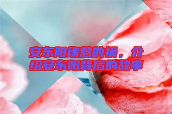 安東陽(yáng)緣惹的禍，介紹安東陽(yáng)背后的故事