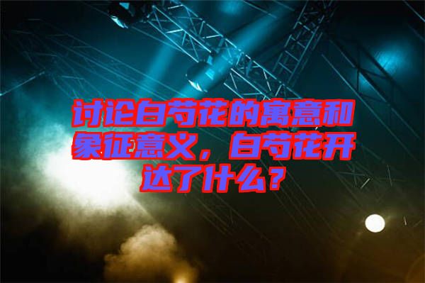 討論白芍花的寓意和象征意義，白芍花開達(dá)了什么？