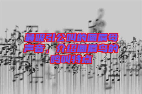 最吸引公叫的畫(huà)眉母聲音，介紹畫(huà)眉鳥(niǎo)的鳴叫特點(diǎn)