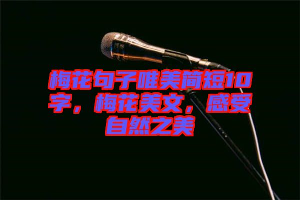 梅花句子唯美簡(jiǎn)短10字，梅花美文，感受自然之美
