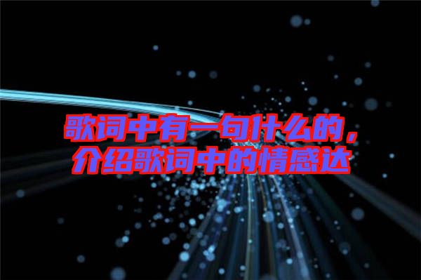 歌詞中有一句什么的，介紹歌詞中的情感達