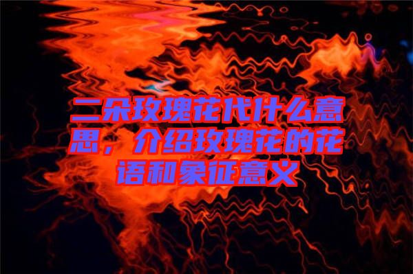 二朵玫瑰花代什么意思，介紹玫瑰花的花語和象征意義