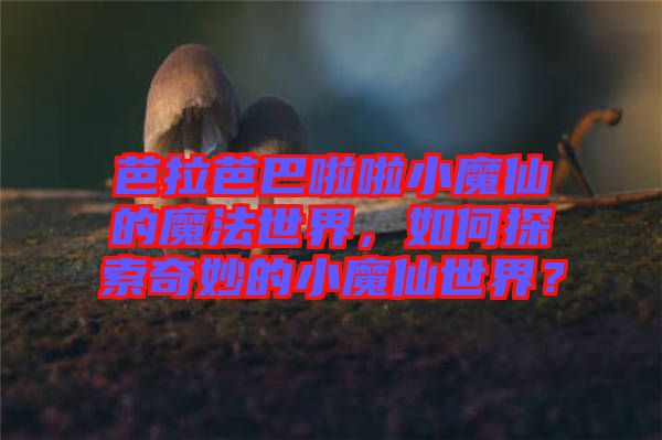 芭拉芭巴啦啦小魔仙的魔法世界，如何探索奇妙的小魔仙世界？