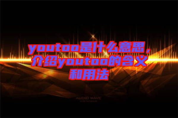 youtoo是什么意思，介紹youtoo的含義和用法