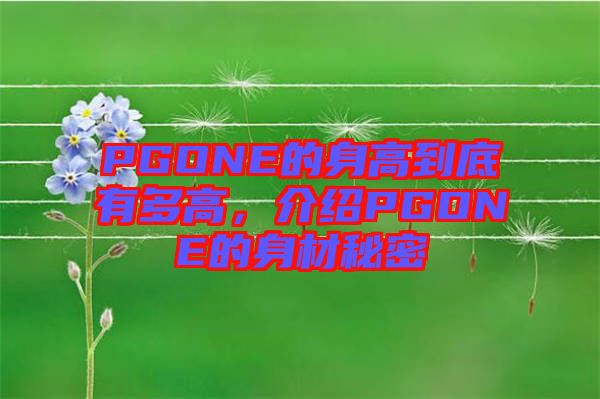 PGONE的身高到底有多高，介紹PGONE的身材秘密
