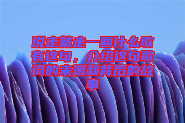 說走就走一回什么歌有這句，介紹這句歌詞的來源和背后的故事