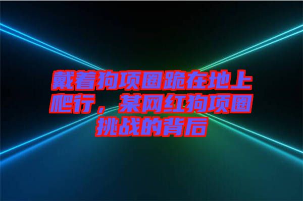戴著狗項(xiàng)圈跪在地上爬行，某網(wǎng)紅狗項(xiàng)圈挑戰(zhàn)的背后