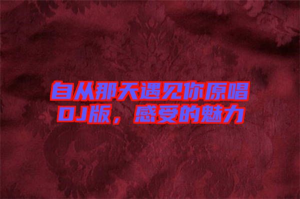 自從那天遇見你原唱DJ版，感受的魅力
