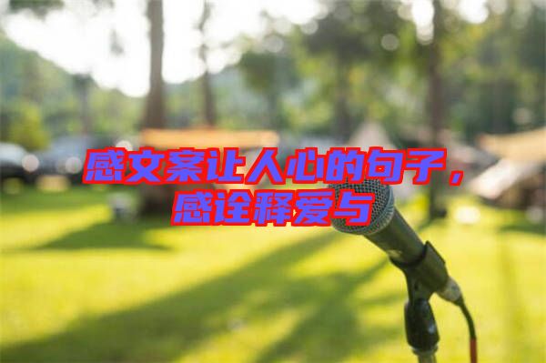 感文案讓人心的句子，感詮釋愛與