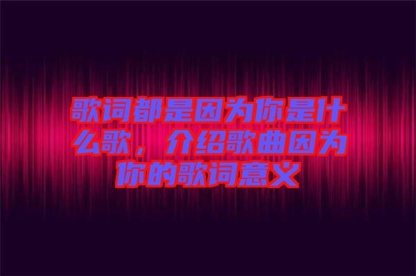 歌詞都是因?yàn)槟闶鞘裁锤?，介紹歌曲因?yàn)槟愕母柙~意義
