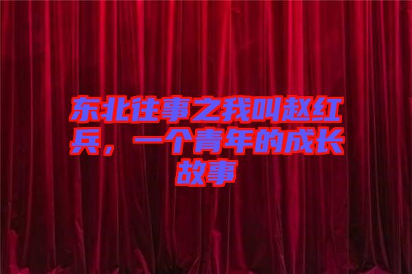 東北往事之我叫趙紅兵，一個(gè)青年的成長故事