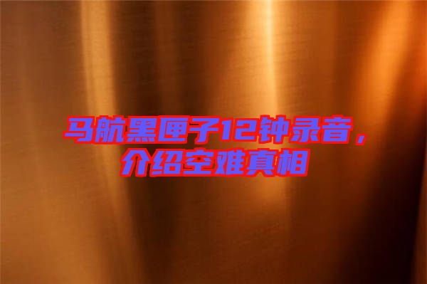 馬航黑匣子12鐘錄音，介紹空難真相