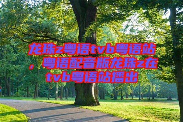 龍珠z粵語tvb粵語站，粵語配音版龍珠z在tvb粵語站播出