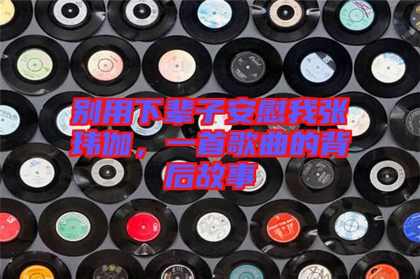 別用下輩子安慰我張瑋伽，一首歌曲的背后故事