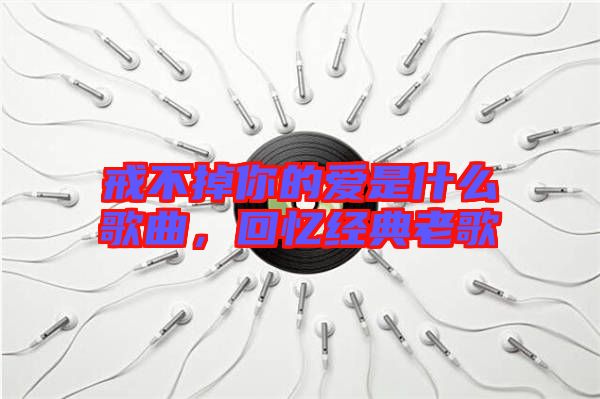 戒不掉你的愛是什么歌曲，回憶經(jīng)典老歌
