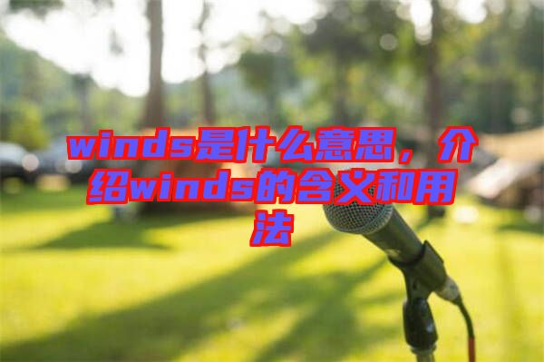 winds是什么意思，介紹winds的含義和用法