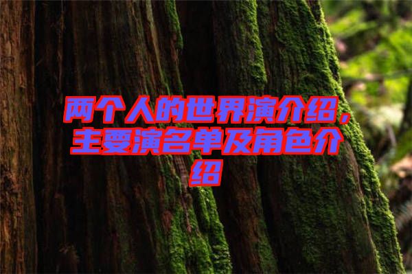 兩個(gè)人的世界演介紹，主要演名單及角色介紹