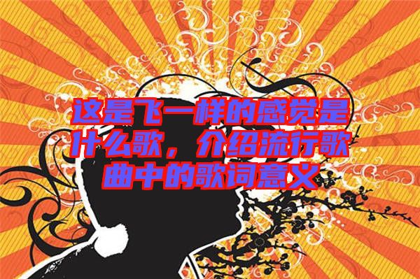 這是飛一樣的感覺(jué)是什么歌，介紹流行歌曲中的歌詞意義