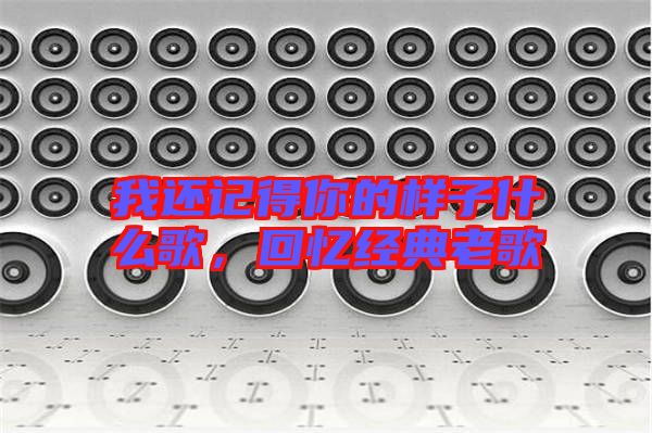 我還記得你的樣子什么歌，回憶經(jīng)典老歌