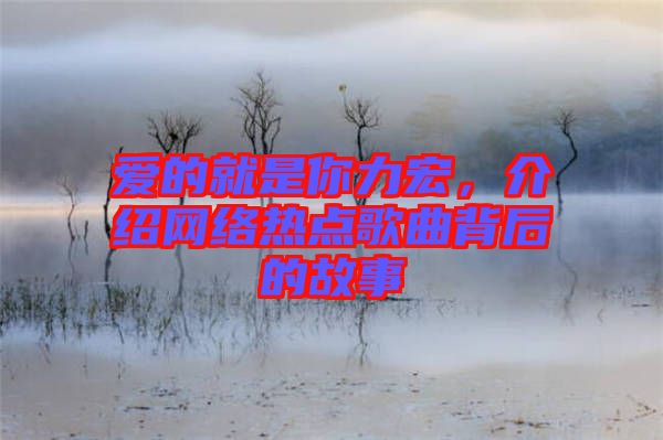 愛的就是你力宏，介紹網絡熱點歌曲背后的故事