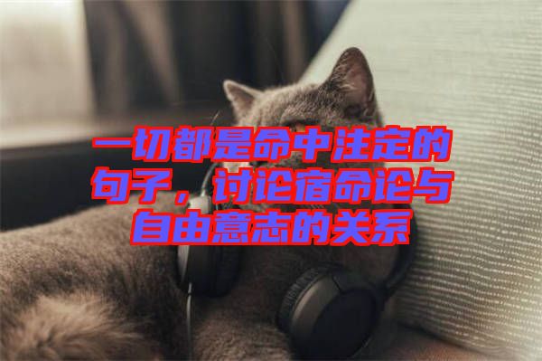 一切都是命中注定的句子，討論宿命論與自由意志的關(guān)系