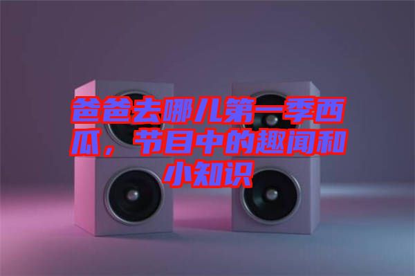 爸爸去哪兒第一季西瓜，節(jié)目中的趣聞和小知識(shí)